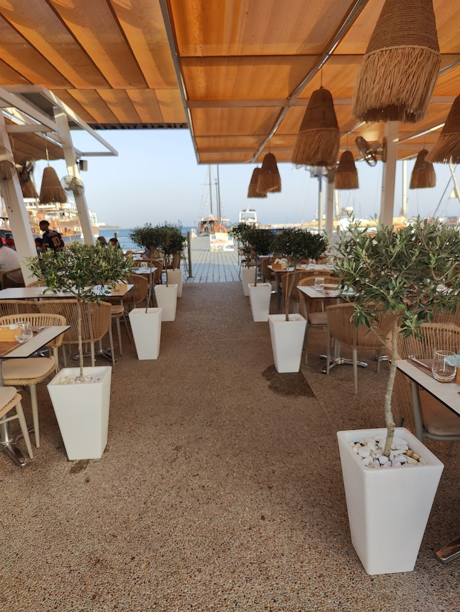 Steve's - The Perfect Spot -