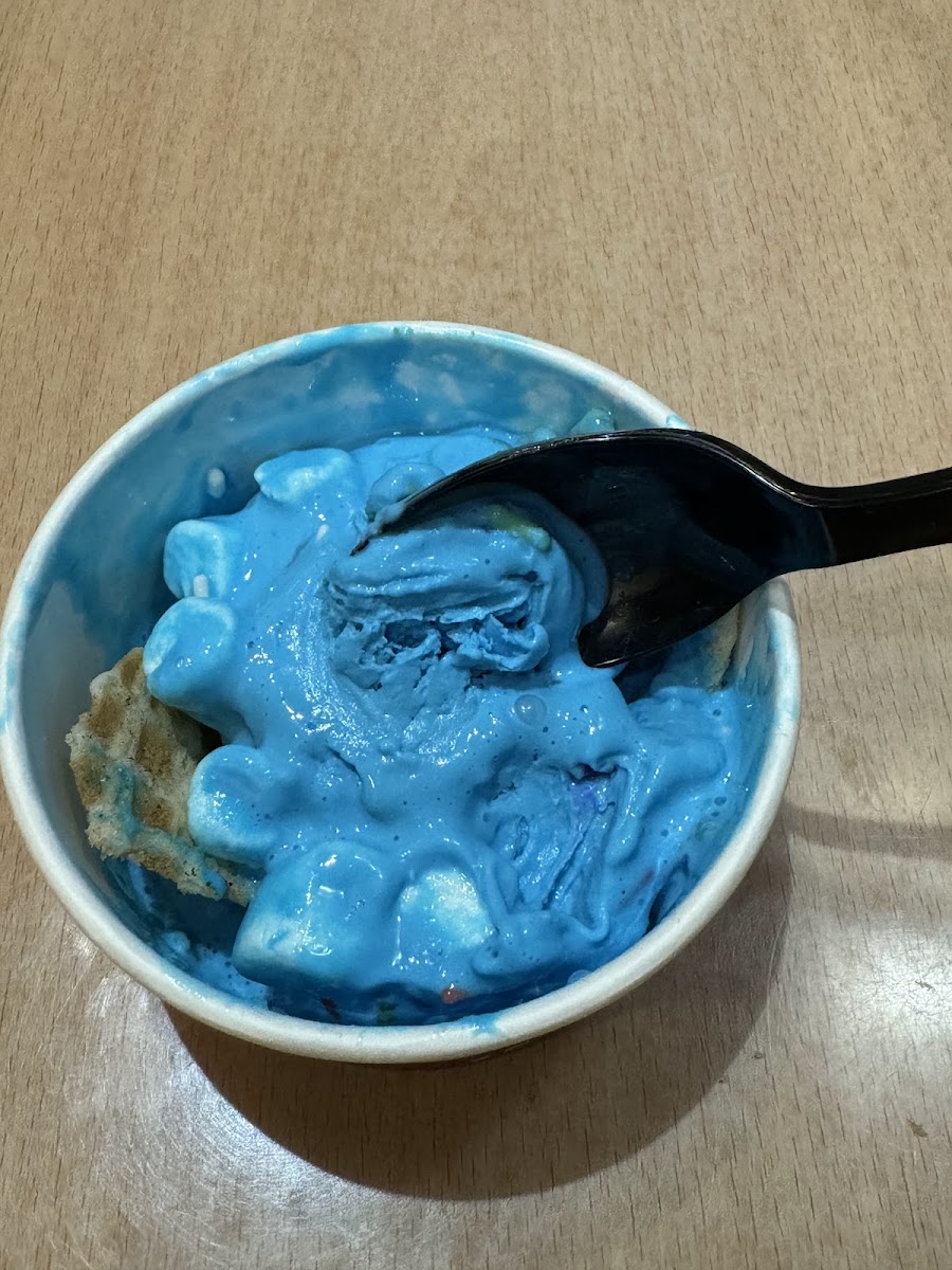 Sub Zero Nitrogen Ice Cream-6