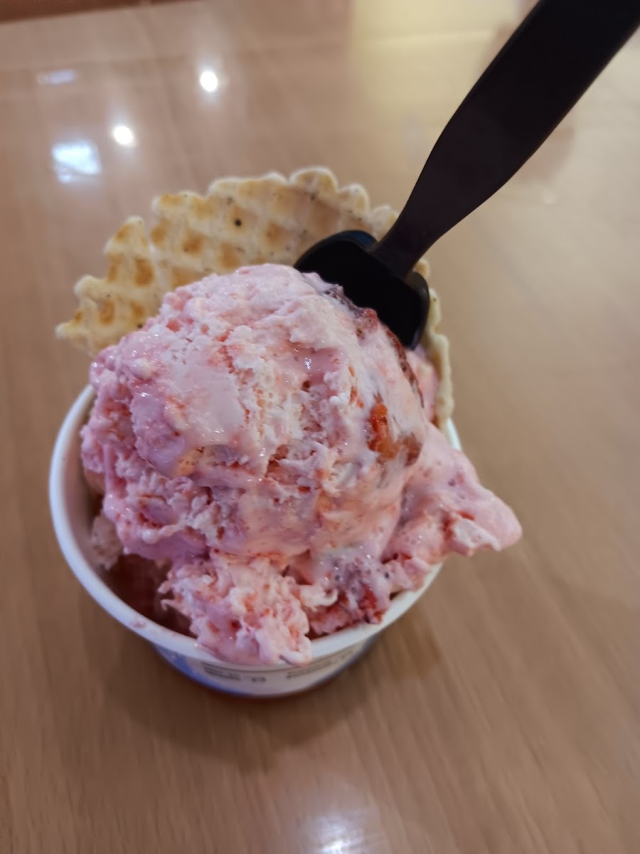Sub Zero Nitrogen Ice Cream-7