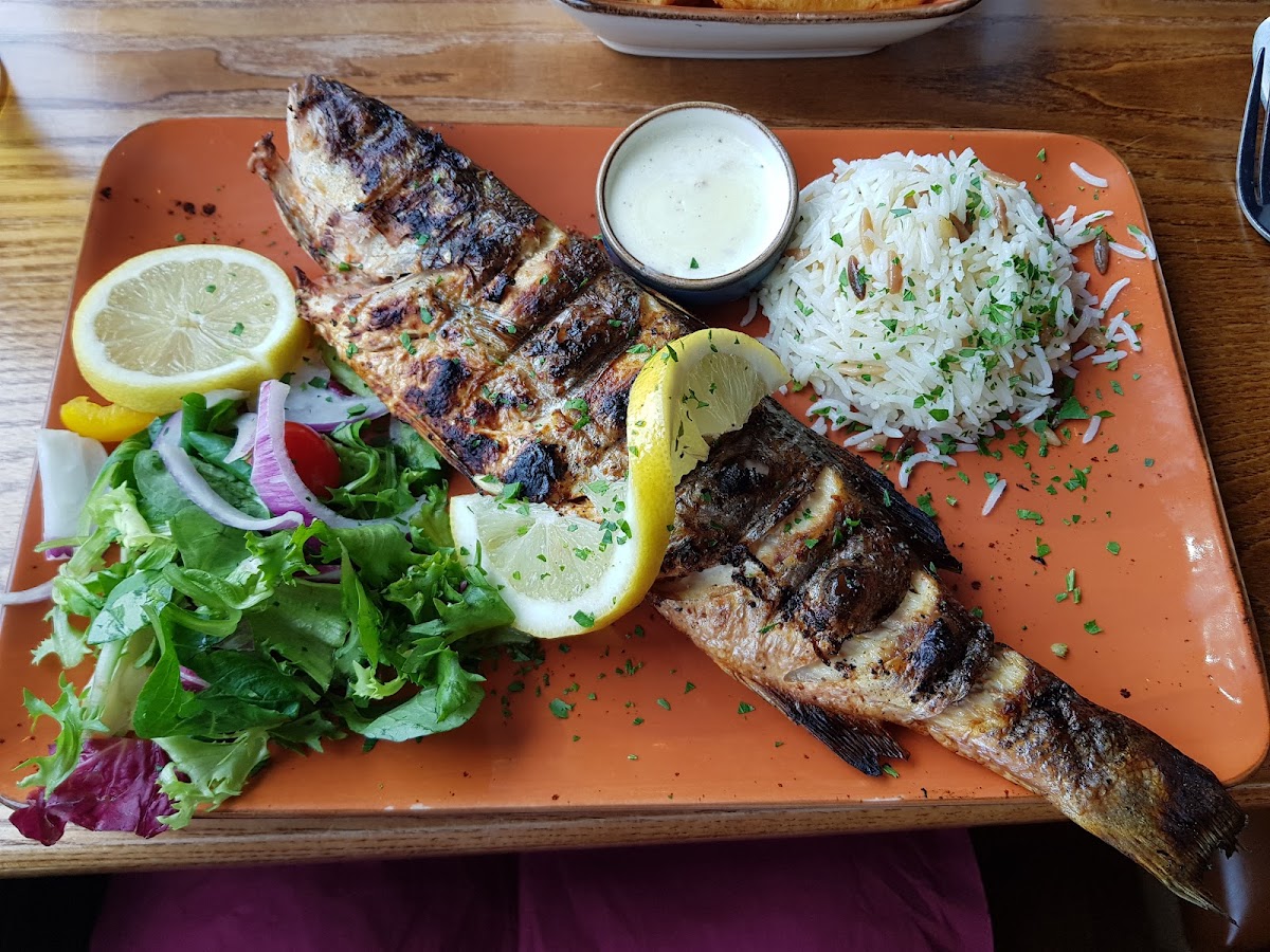 Sultan Turkish Mediterranean Bar & Grill Crosby-10