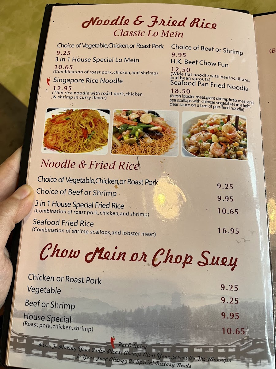Menu Summer Palace-10