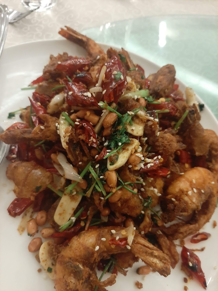 Sunlight Garden Chinese Sea Food Restaurant-10