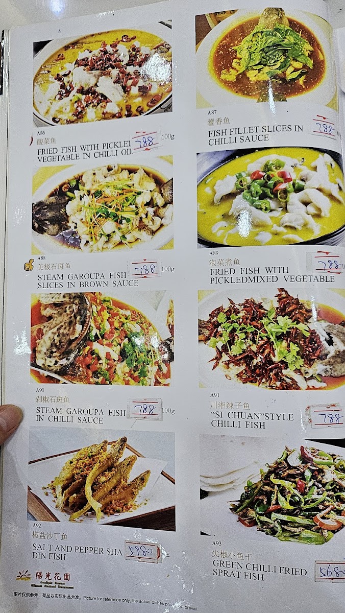 Menu Sunlight Garden Chinese Sea Food Restaurant-8