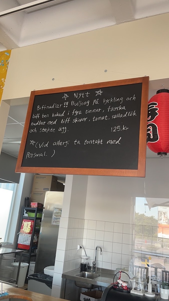 Menu Sushi Pedagogen Park - Sushi Mölndal-Nudlar-5