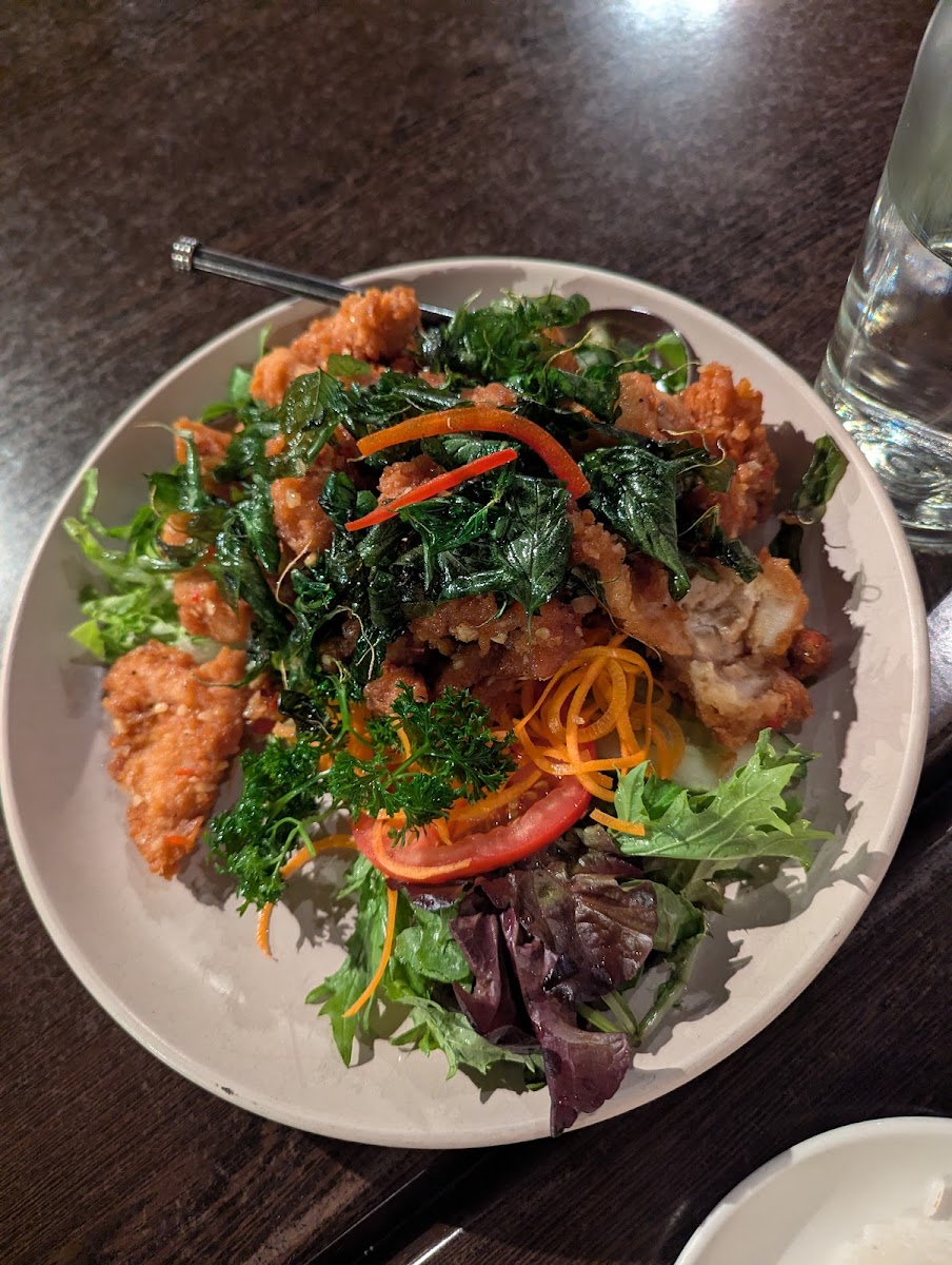 Suwan Thai Restaurant Hobart-4