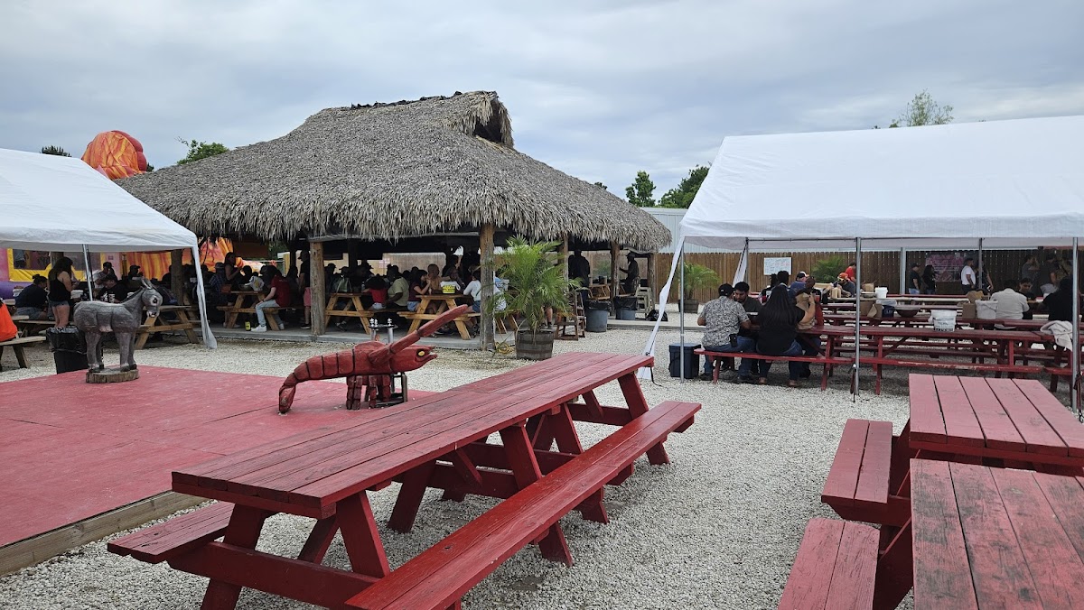 Swamp Donkey's Seafood