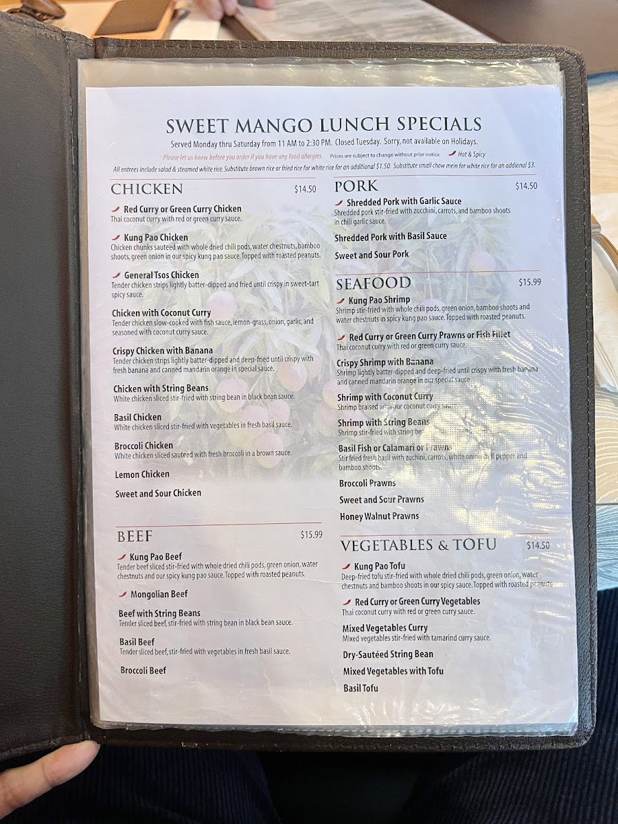 Menu Sweet Mango-10