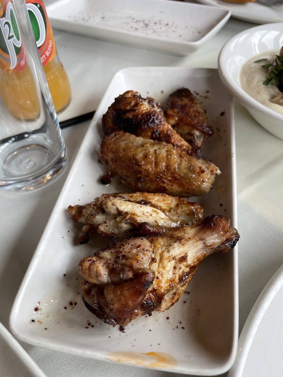 Syriana Restaurant-7