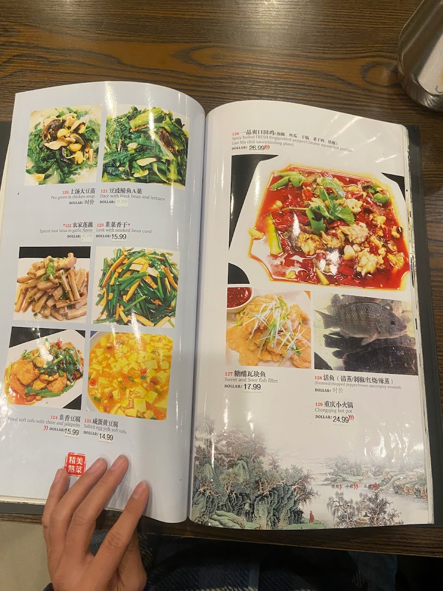 Menu Szechuan Chef Chinese Cuisine-4