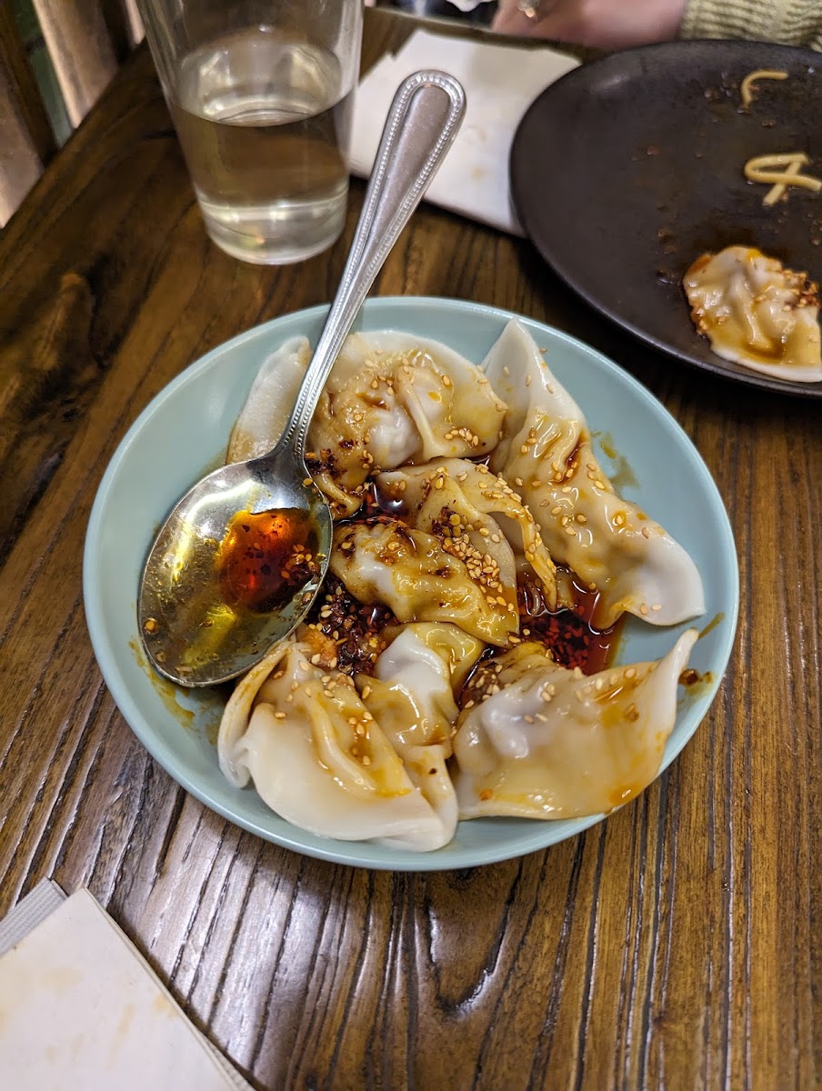 Szechuan Gourmet-10