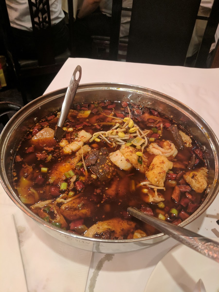 Szechuan Gourmet-7