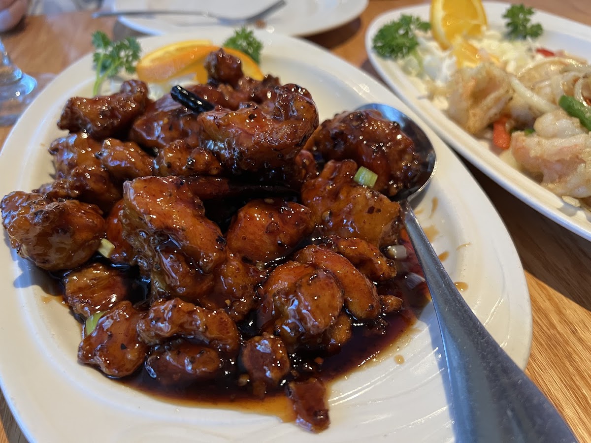 Szechuan Kitchen-10