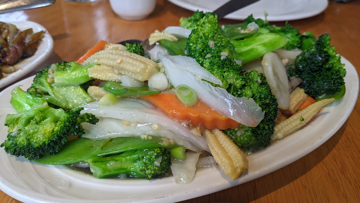 Szechuan Kitchen-9
