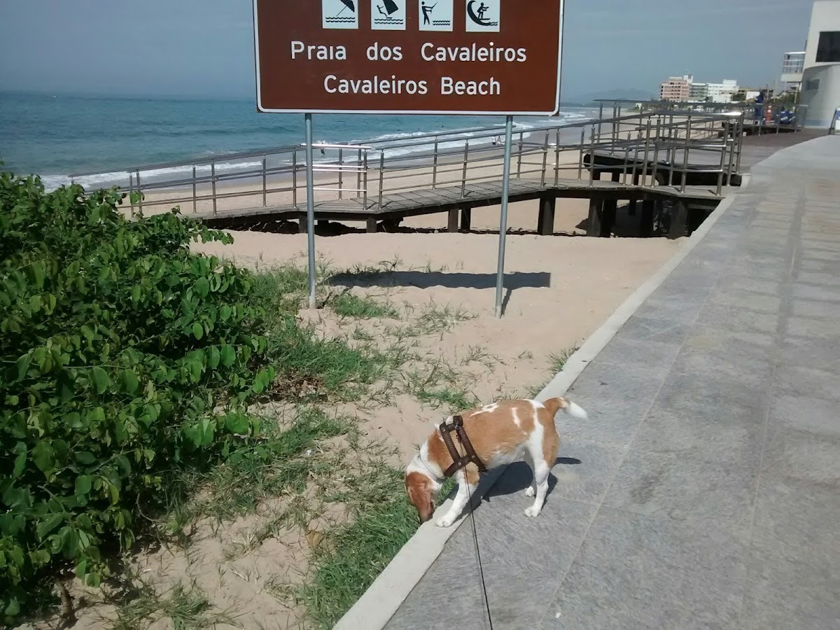 Taberna Da Praia-4
