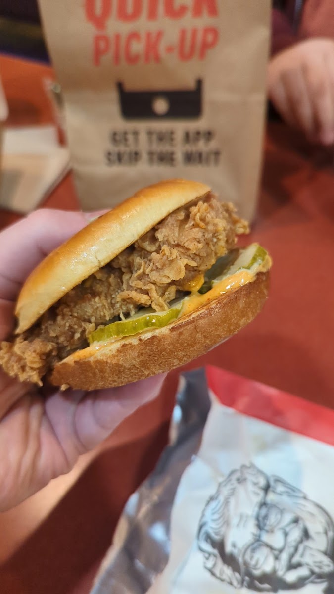 Taco Bell / Kfc-2