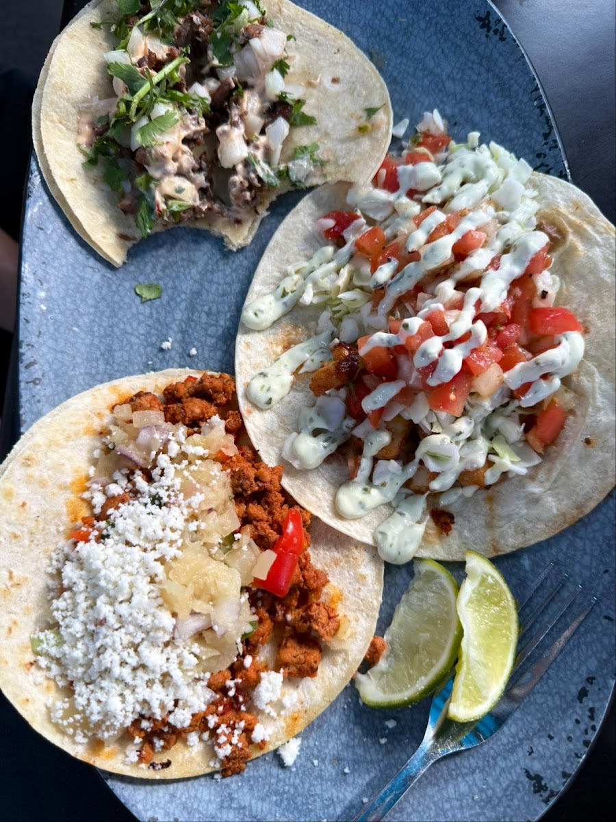 Taco Lucha-3