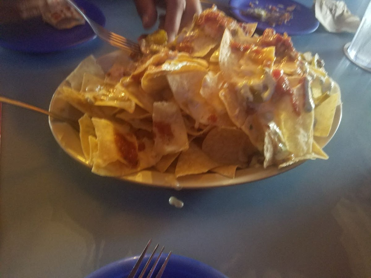 Taco Lucha-7