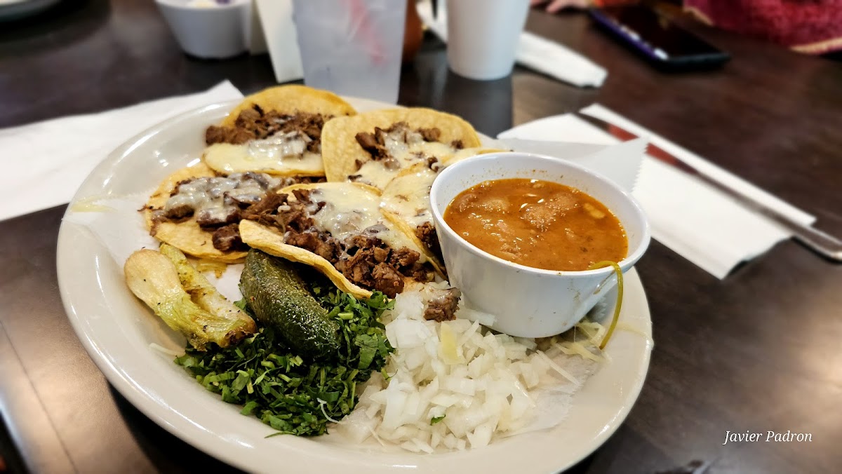 Taco Parrilla-6