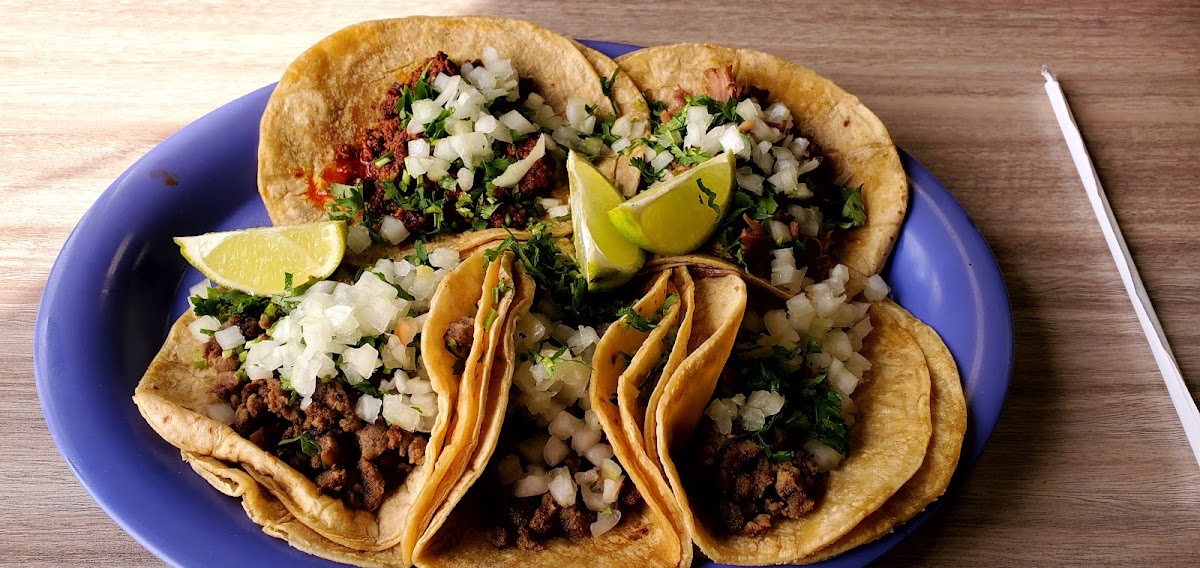 Taco Roc-4