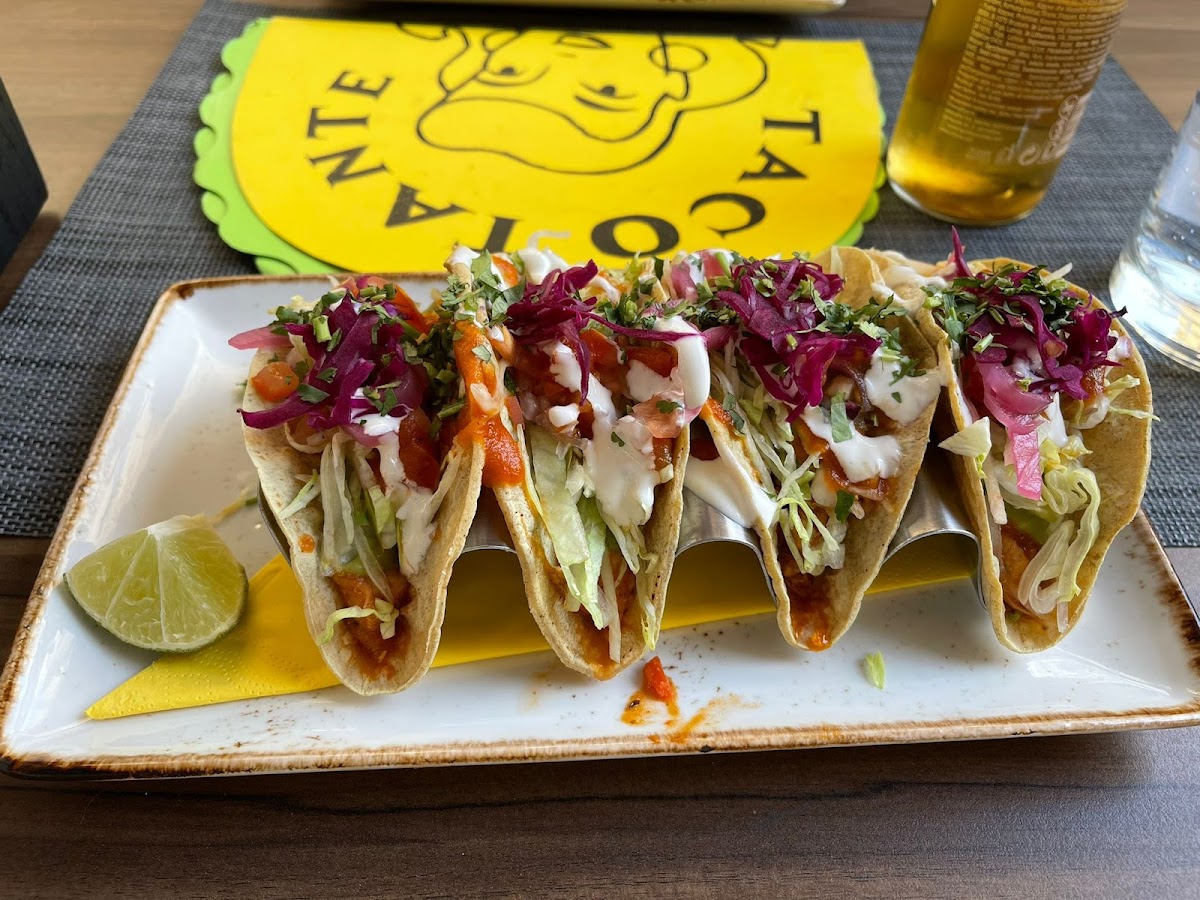 Taco Tante-2