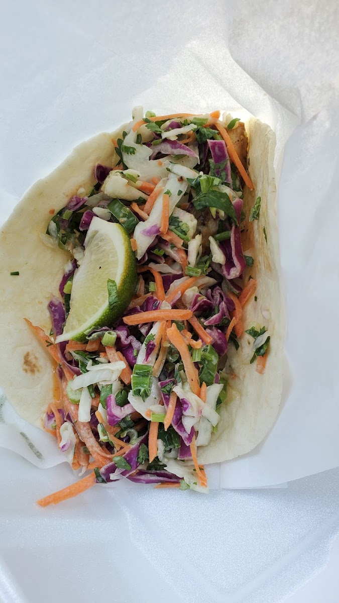 Tacos 4 Life-9