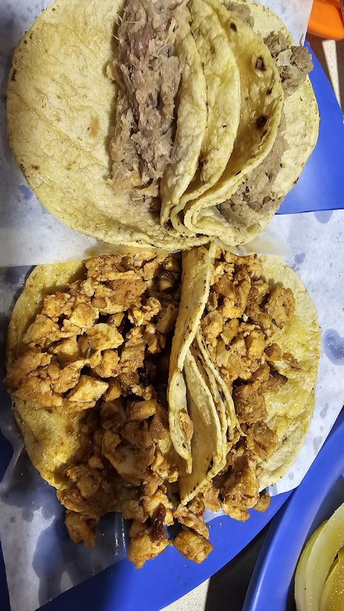 Tacos El Bajito-10
