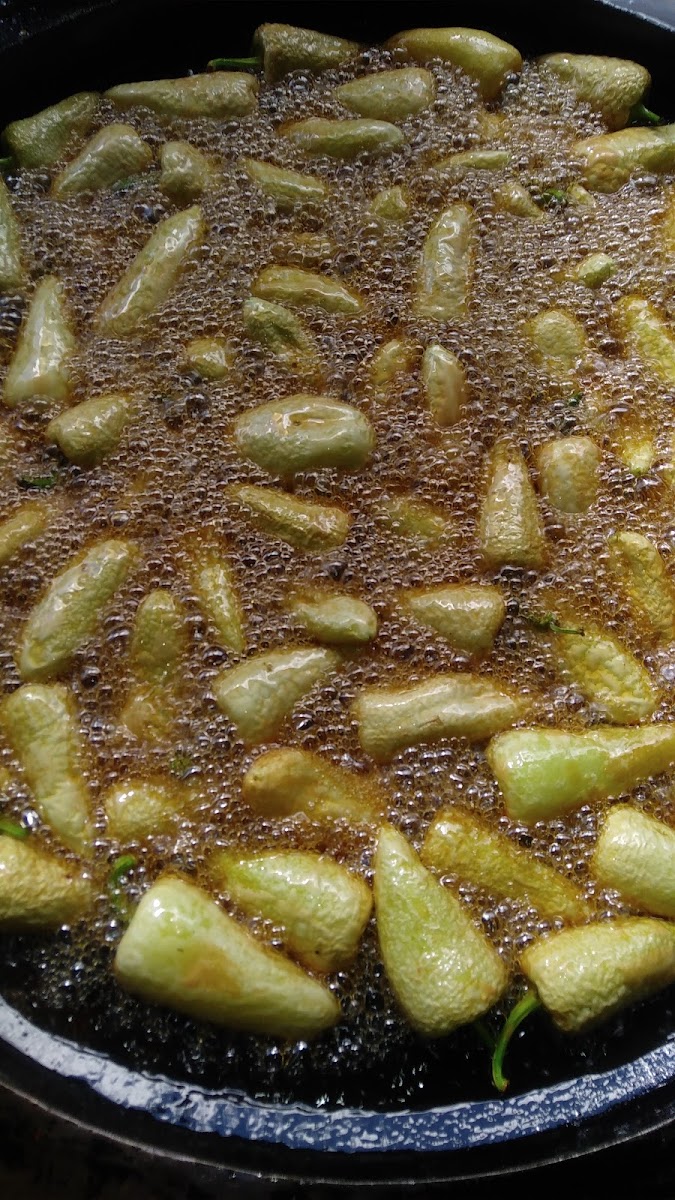 Tacos Envenenados 'la Encantada'-3