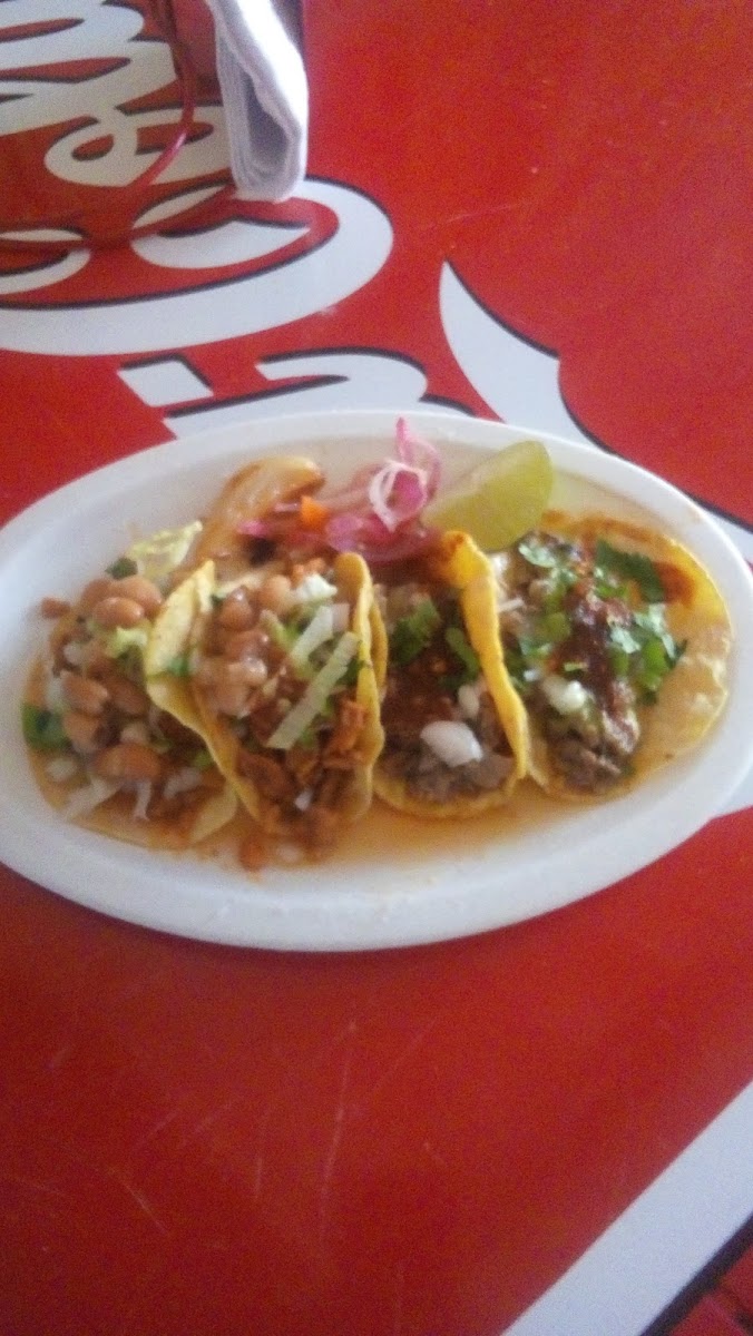 Tacos San Antonio-7