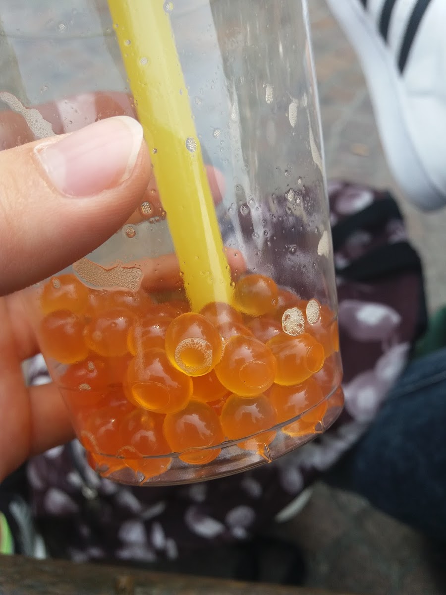 Tai Wan Bubble Tea-7