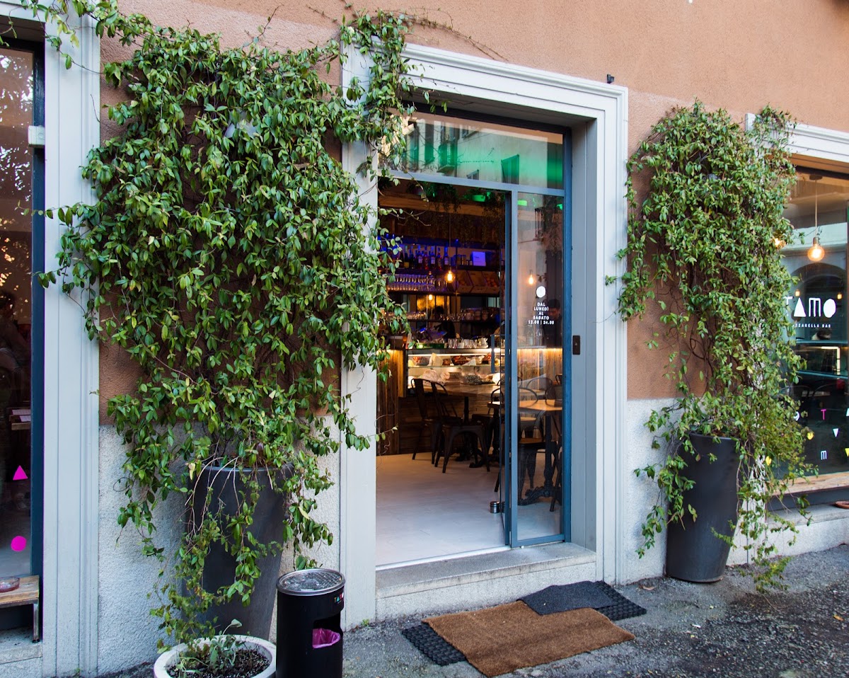 Tamo Mozzarella Bar