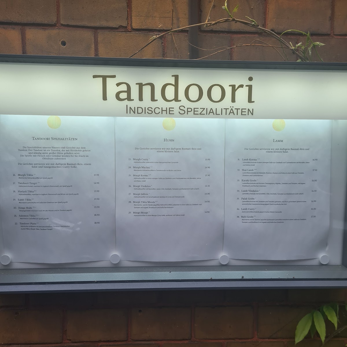 Menu Tandoori-2