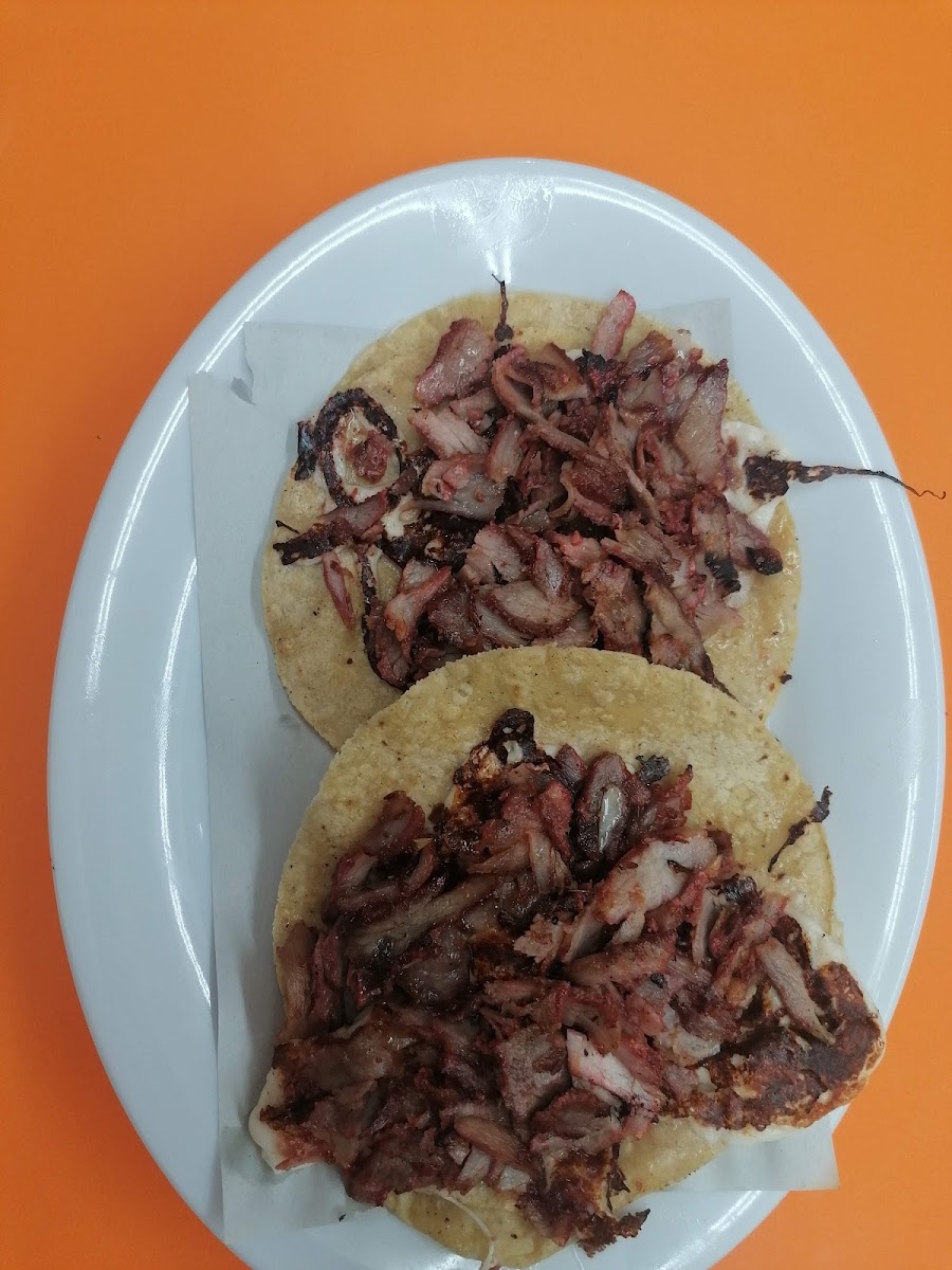 Taqueria 'javy Tacos'-5