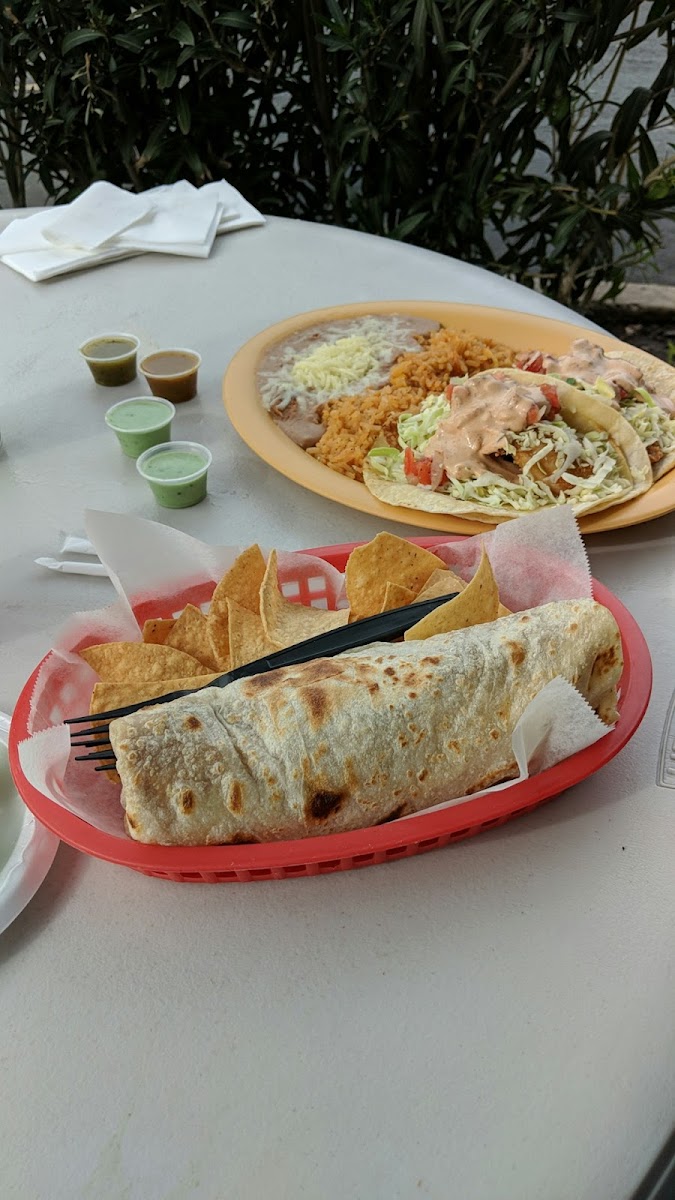 Taquitos Jalisco-6