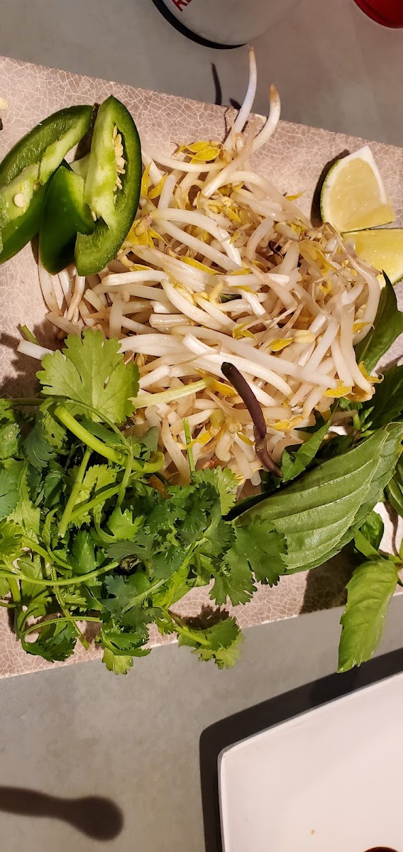 Taste Of Vietnam-7