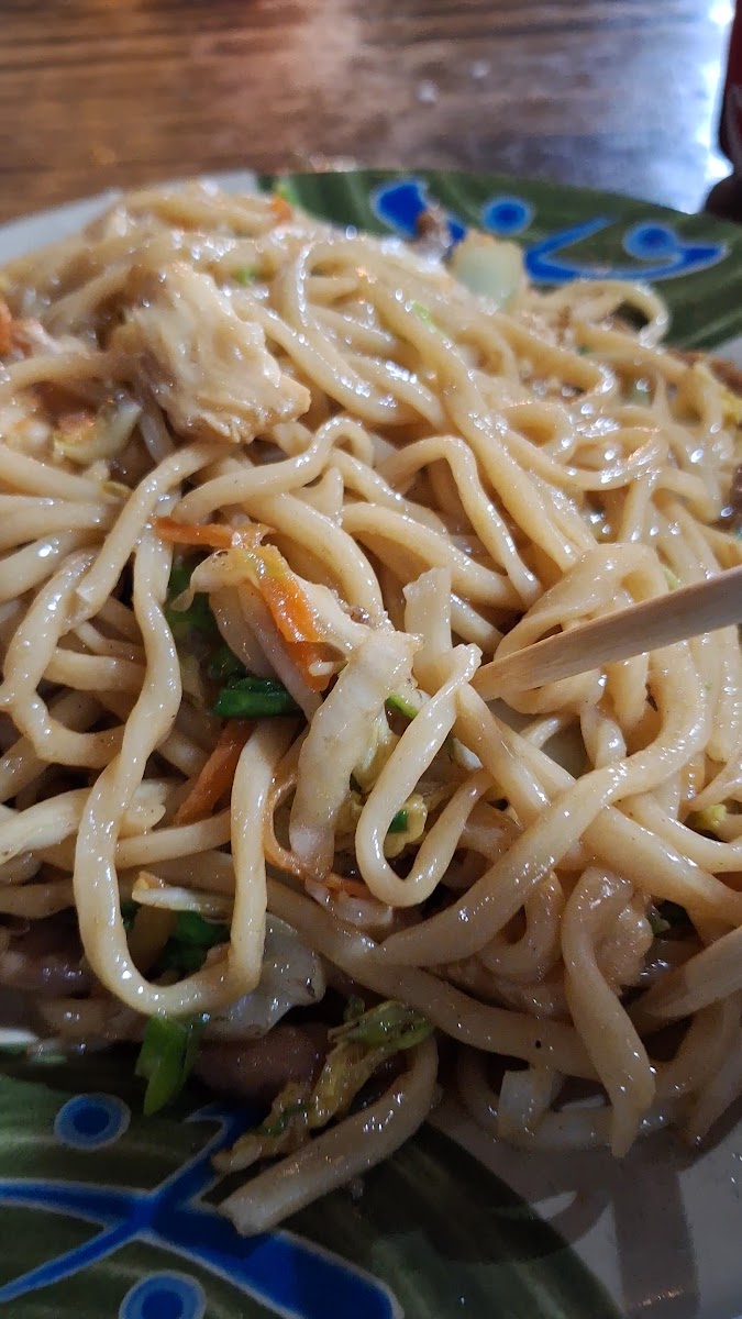 Tasty Hand - Pulled Noodles-2