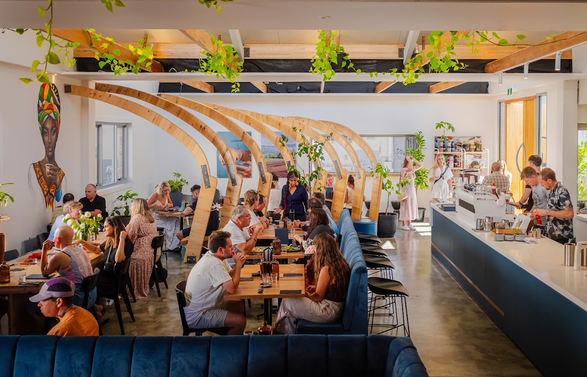 Tatler Lane By Sweetbrew