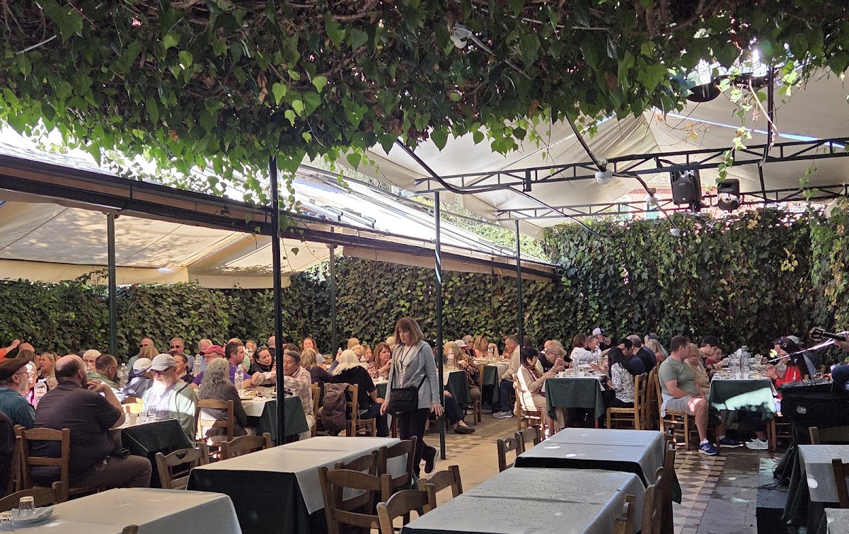 Taverna Tripa-3