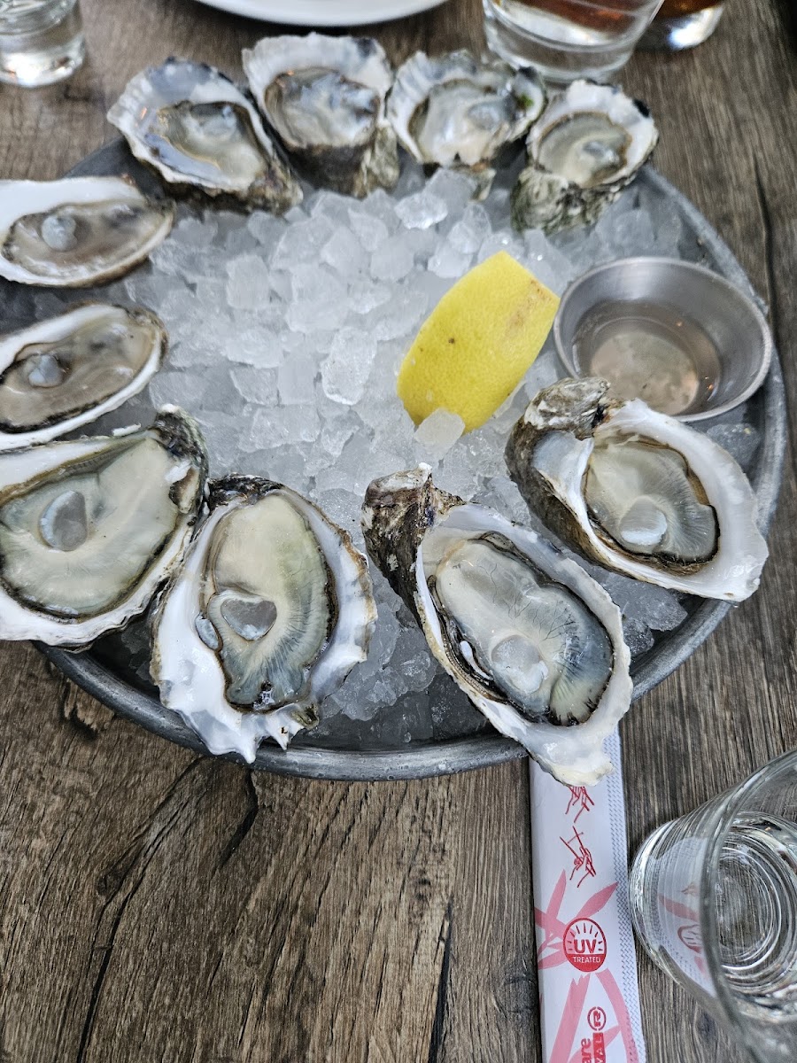 Taylor Shellfish Oyster Bar-5