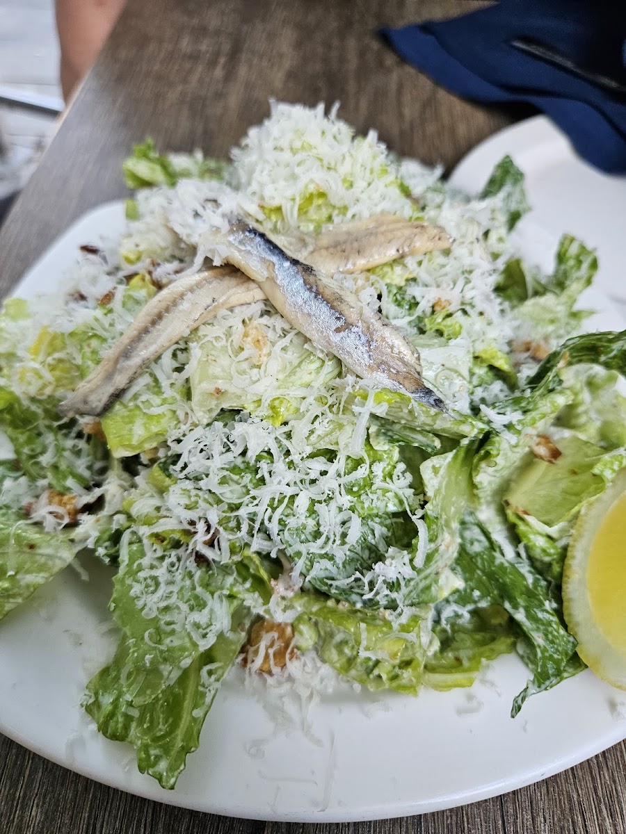 Taylor Shellfish Oyster Bar-7