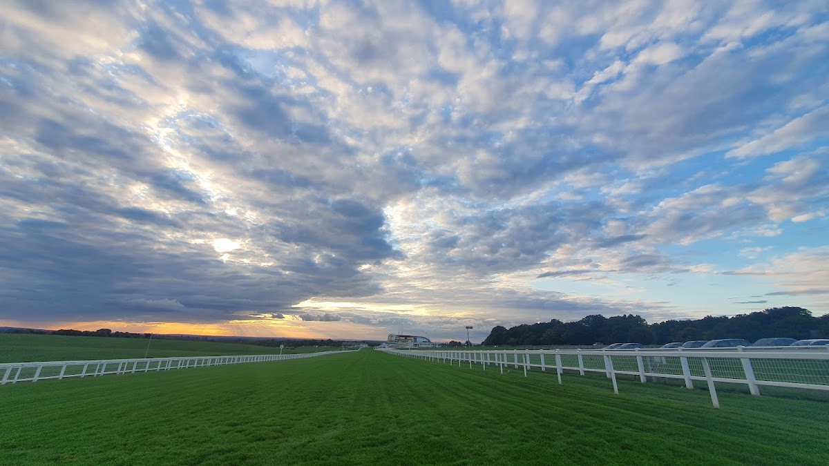 Tea Hut Epsom Downs