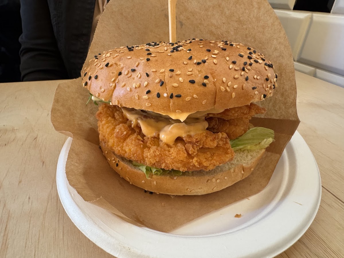 Teddy Burger Rawa Mazowiecka-3