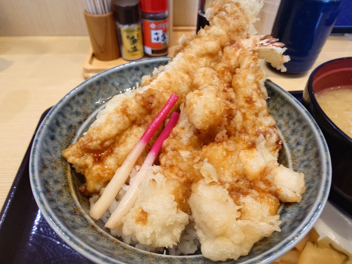 Tendon Tenya-3