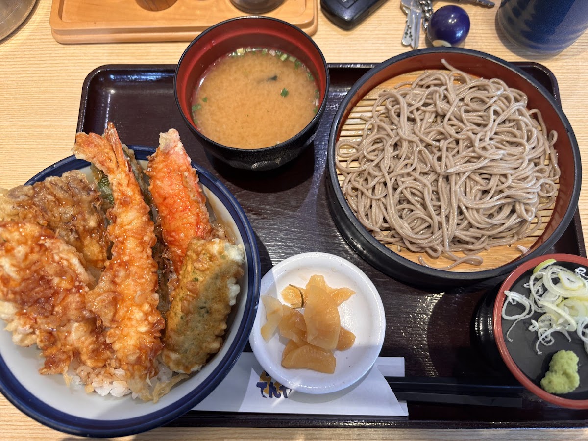 Tendon Tenya-4