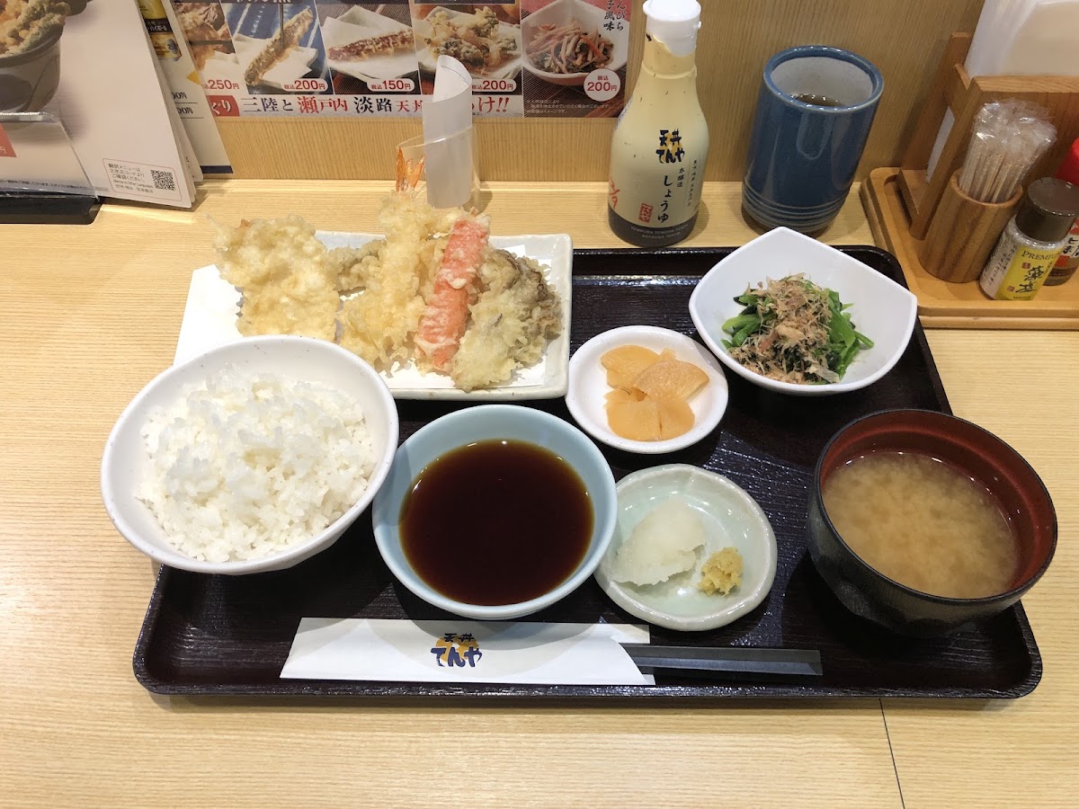 Tendon Tenya-6