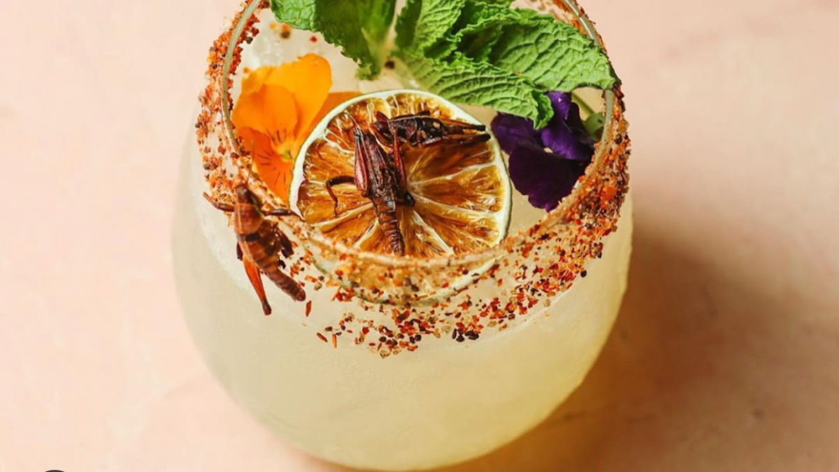 Tequila & Mezcal-3