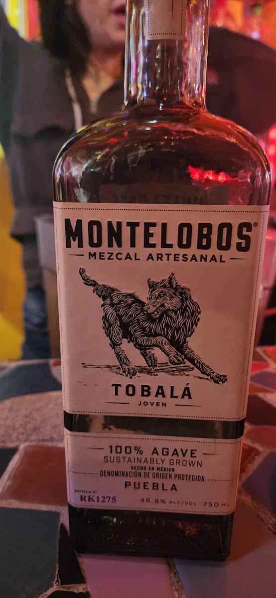 Tequila Mockingbird-8