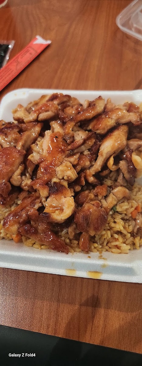 Teriyaki Japan-7