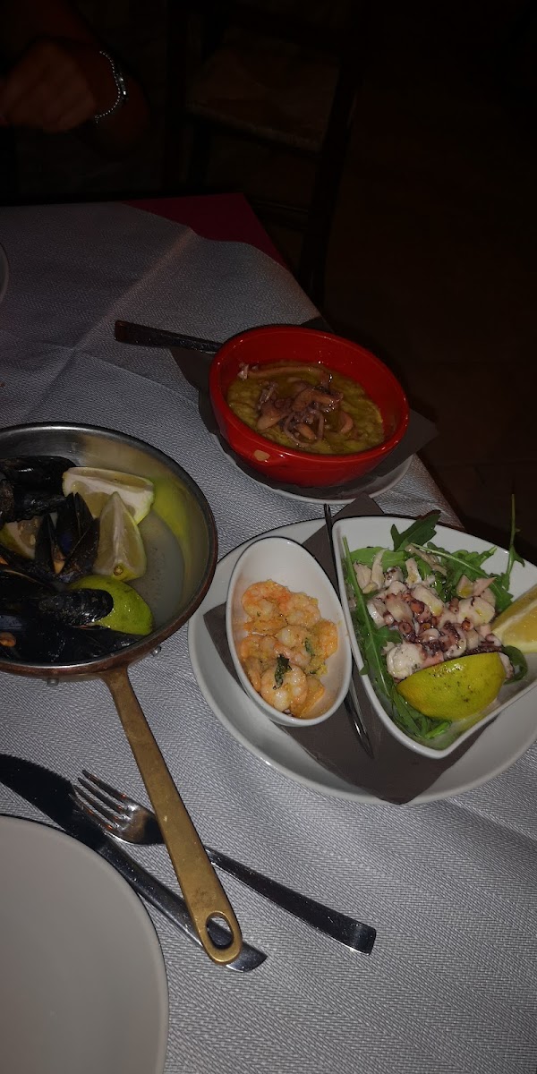 Terramia Torchiara - Ristorante Pizzeria-9