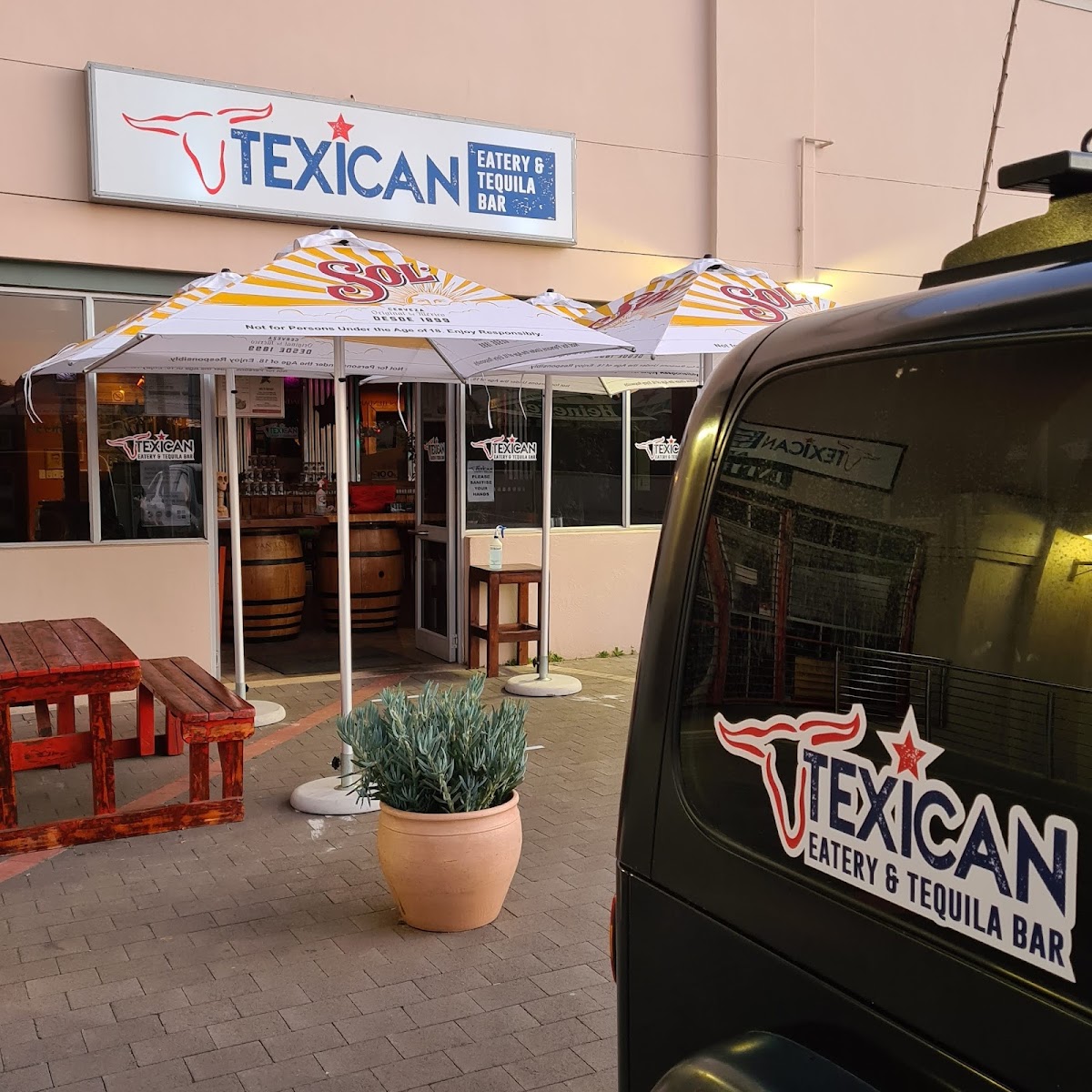 Texican Willows