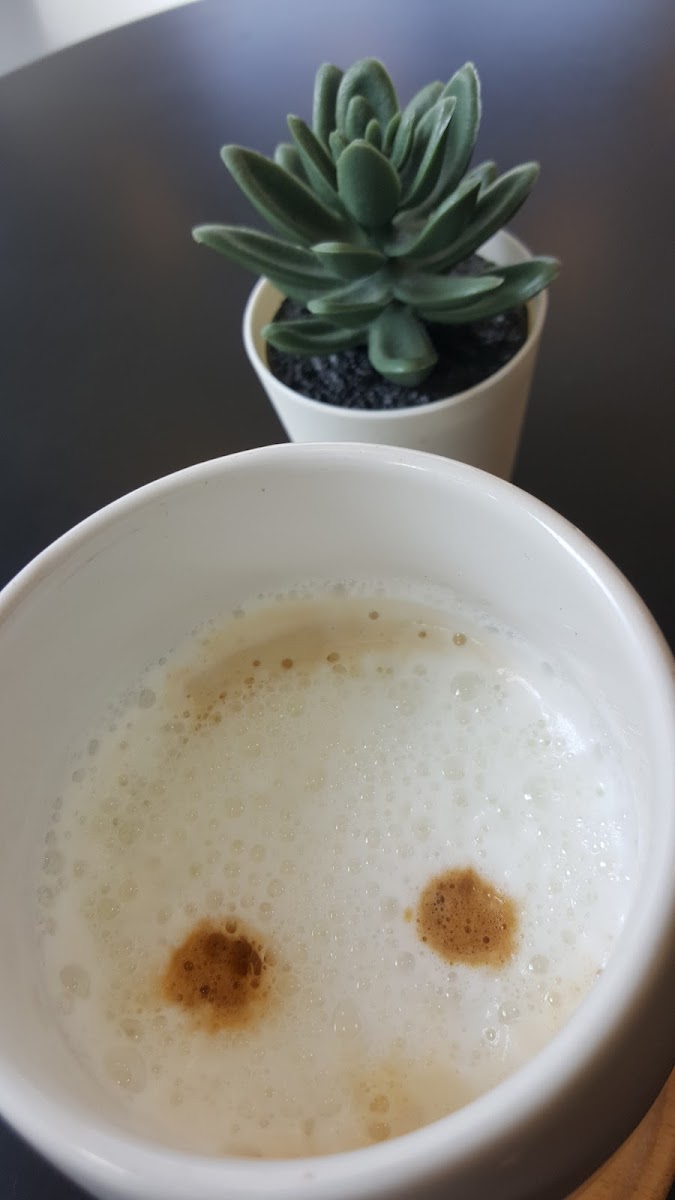 Tha Sung Coffee : กาแฟท่าซุง-5